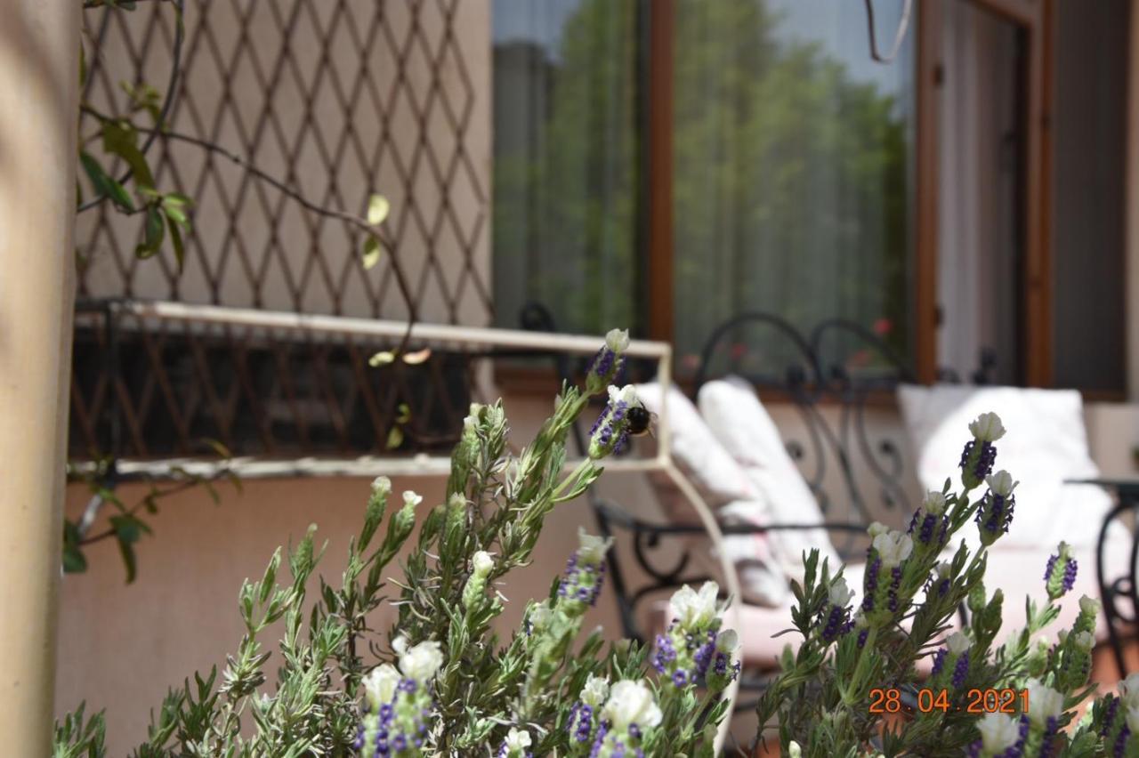 Princess Apartment 산단스키 외부 사진